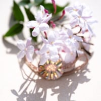 Fleurs de jasmin laissant entrevoir un bijou en céramique doré à l'or fin Cala Gioia. Illustration de la Carte cadeau.
