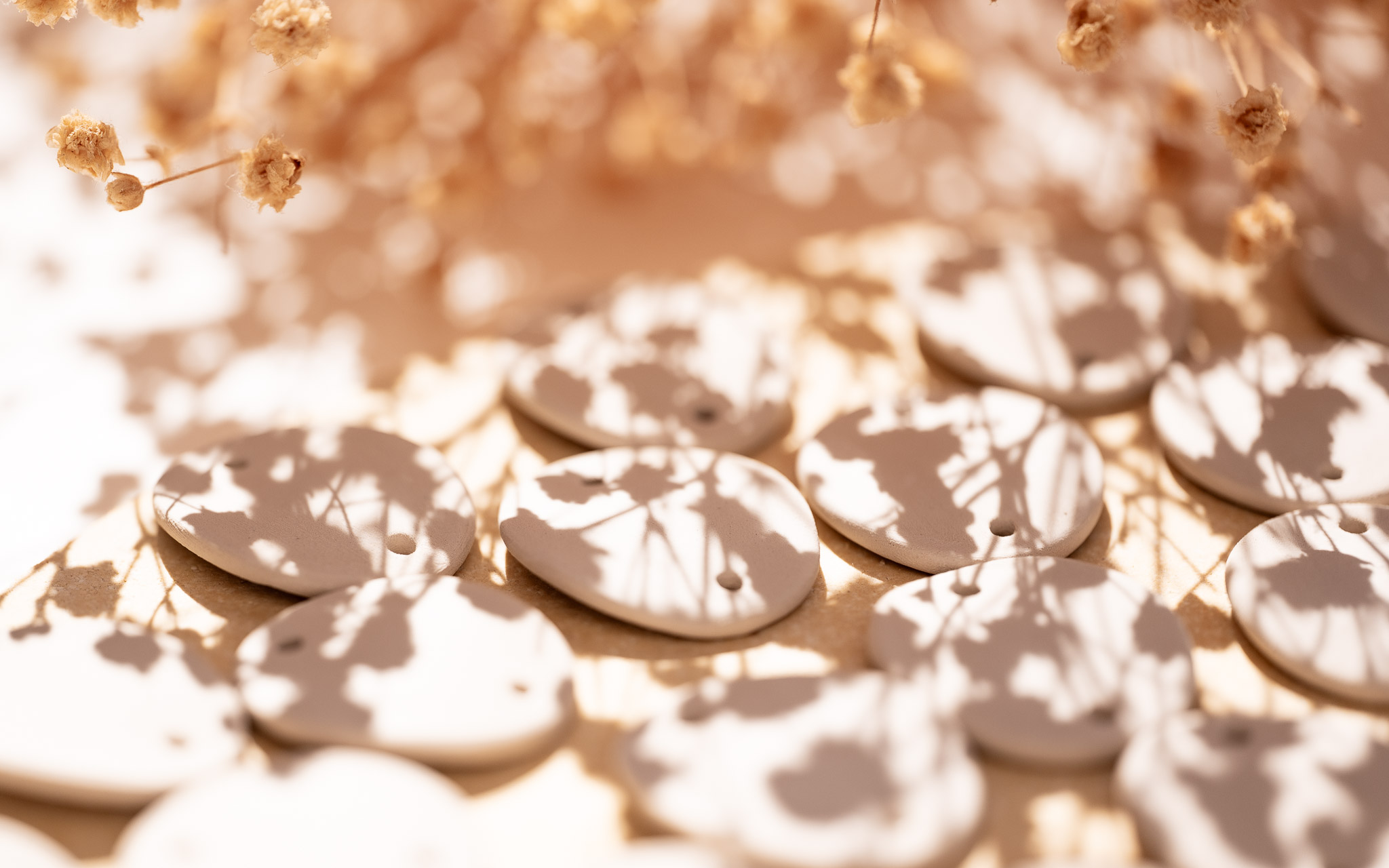 Véritable œil de Sainte-Lucie, coquillage porte-bonheur de la Méditerranée et source d'inspiration originelle de la marque de bijoux Cala Gioia.