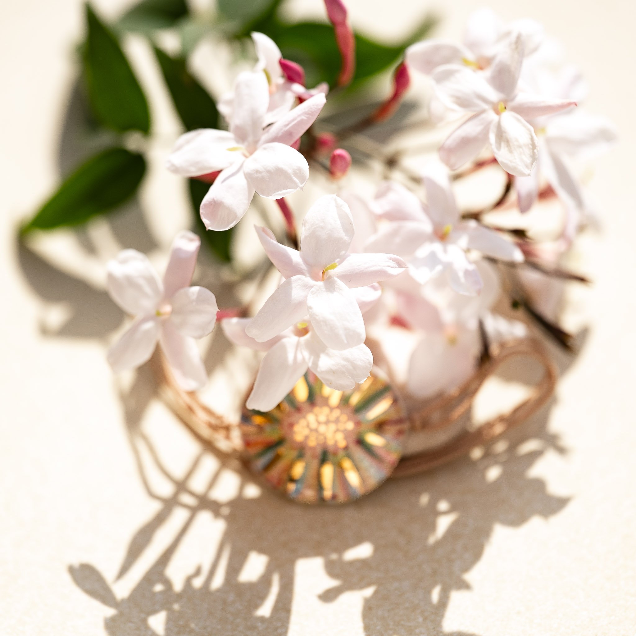 Gros plan sur des fleurs de jasmin blanc laissant mystérieusement entrevoir un bijou en céramique Cala Gioia. Illustration d'une pièce unique et hors collection, gardée secrète au cœur de l'atelier.